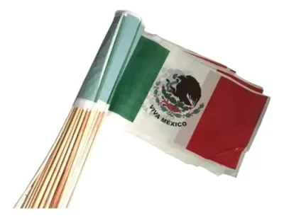 Bandera de México Plastico